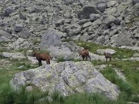 TATRY-2017 (40)